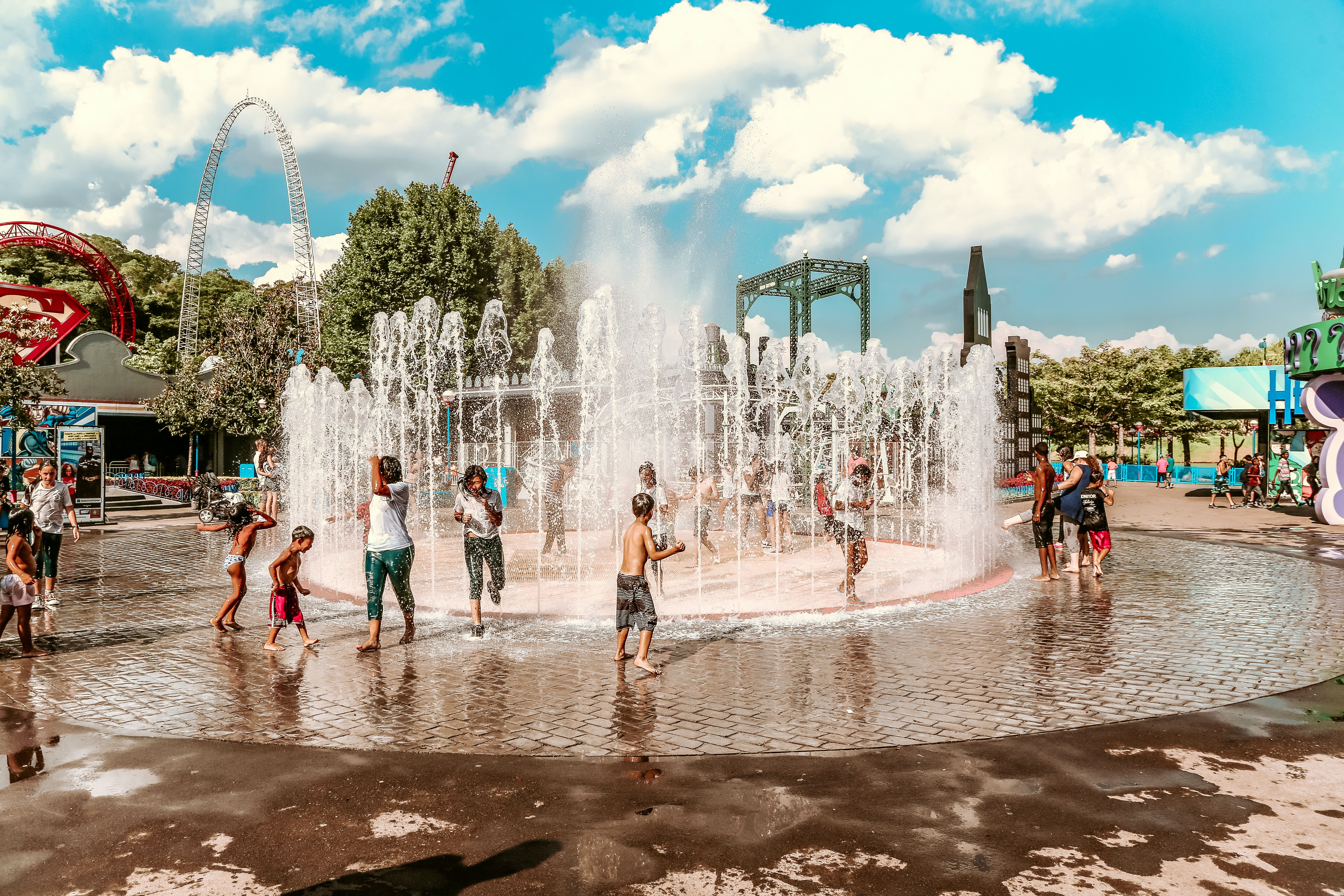 field trips and parks